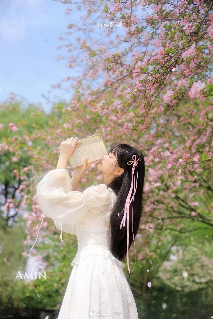 绝命毒师 封面